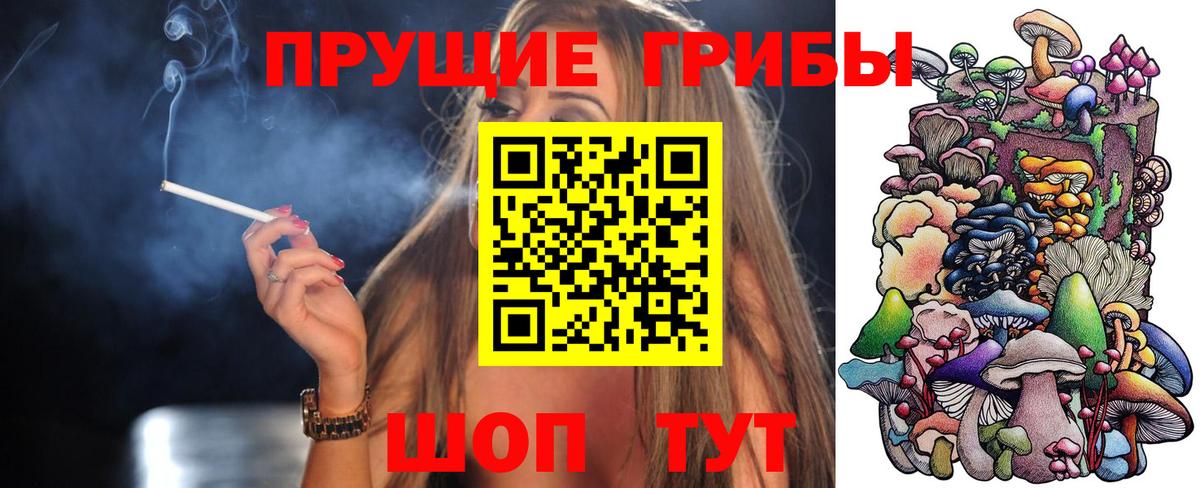 где купить   Псилоцибиновые грибы Magic Shrooms  Вход с VPN  Шелехов 